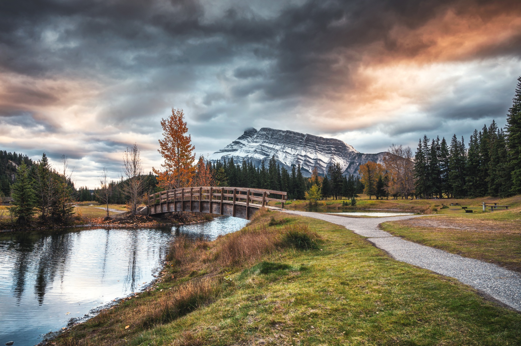 Case Study: Canadian National Parks